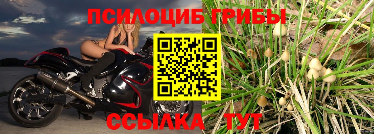Лосино-Петровский  Псилоцибиновые грибы Psilocybe  Вход с VPN 