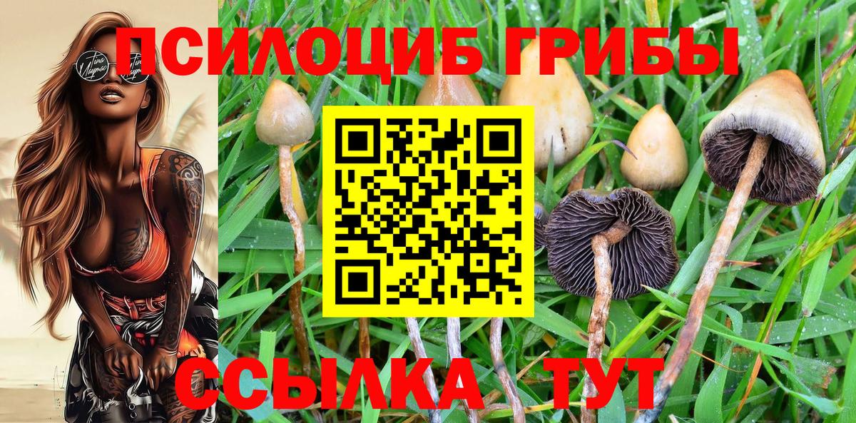 Галлюциногенные грибы Magic Shrooms Лосино-Петровский