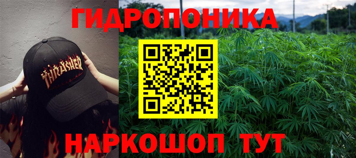 Каннабис Amnesia  Марихуана план  Вход с VPN  Конопля AK-47  Лосино-Петровский 